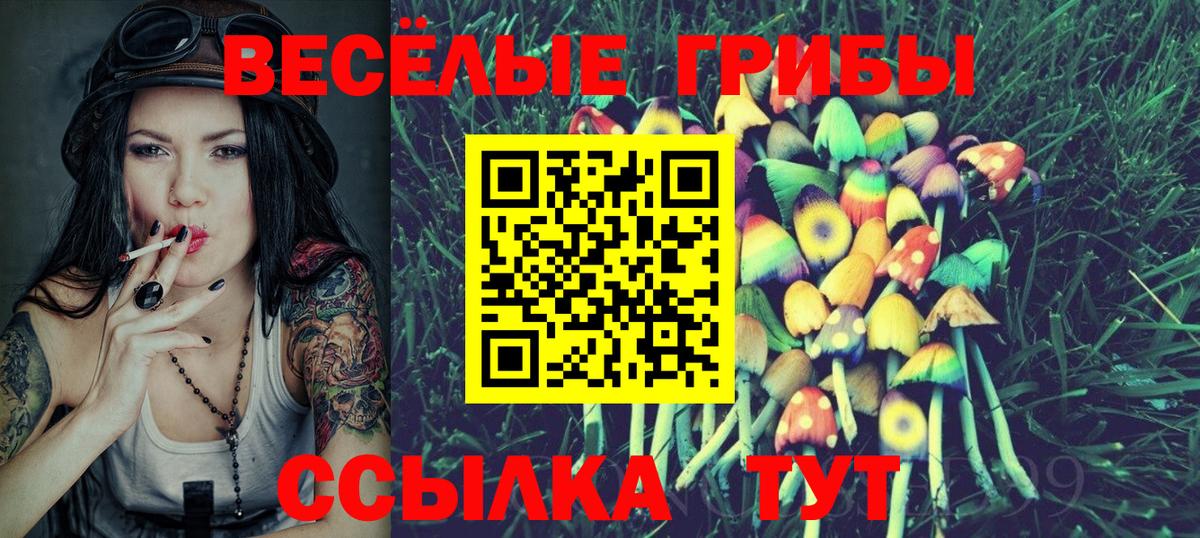 Псилоцибиновые грибы Cubensis Артёмовский